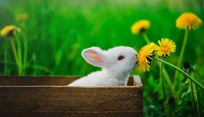 现在中国境内的正在经营的比特币交易所都是有哪些？